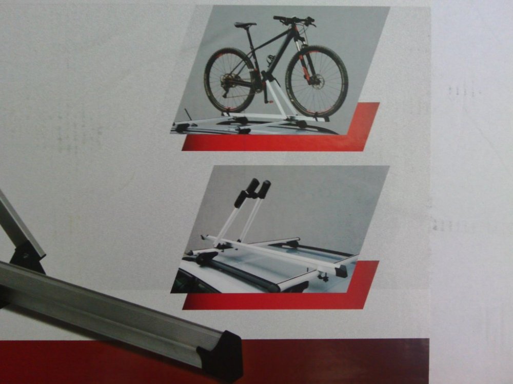 3. IMG_20200804_143105.jpg