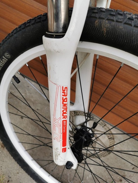 6. IMG_20200812_141215---.jpg