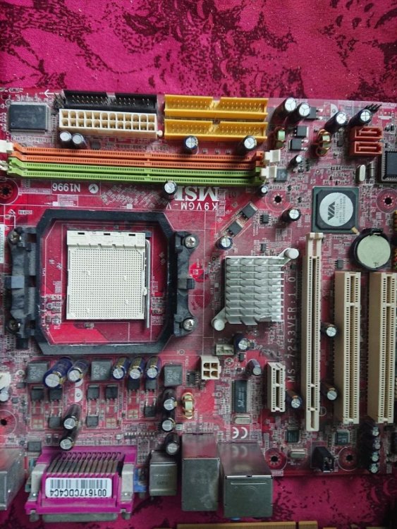 DSC_0531_Easy-Resize.com (1)_Easy-Resize.com (1).jpg