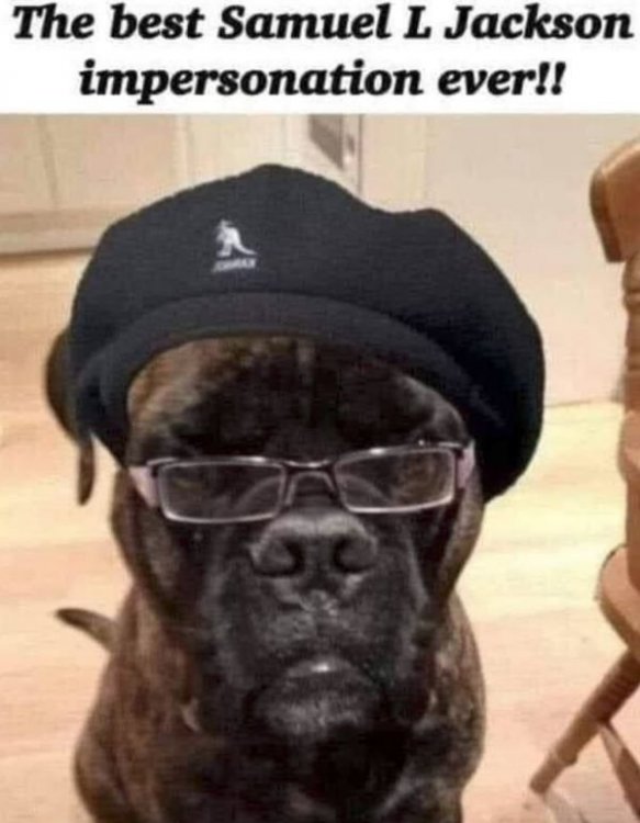 samueljackson.JPG
