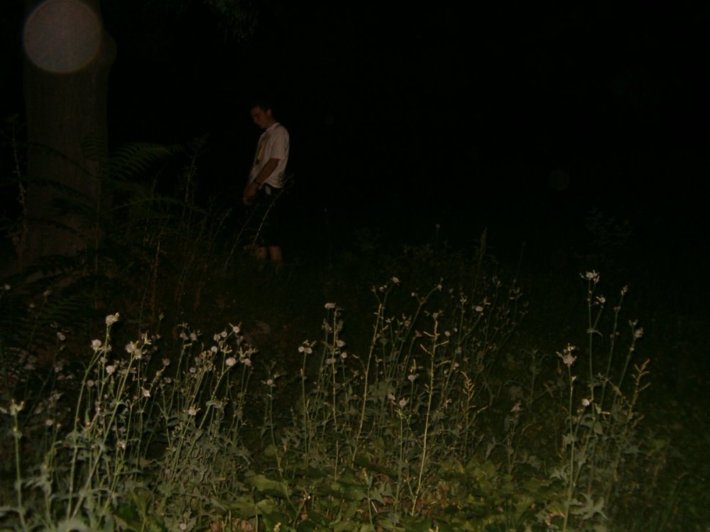 HPIM0140.JPG