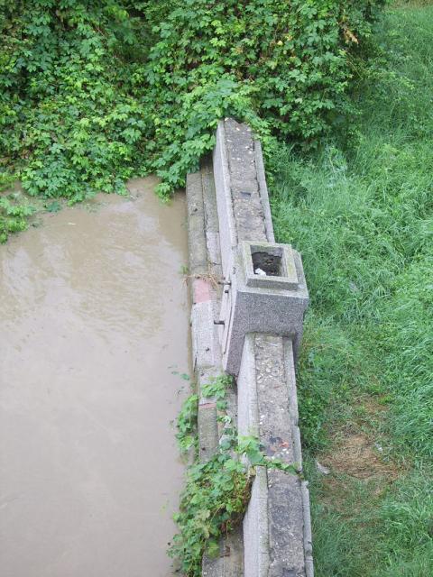 SV100842.jpg