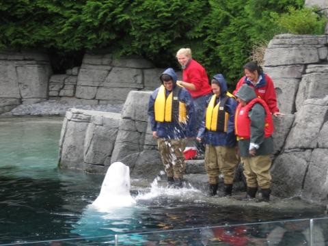 Vanaqua_004.jpg