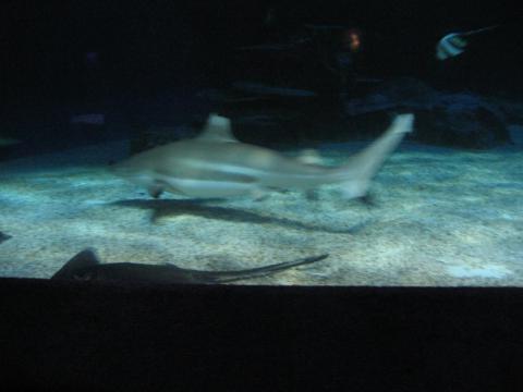 Vanaqua_048.jpg