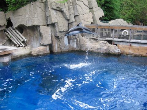 Vanaqua_093.jpg