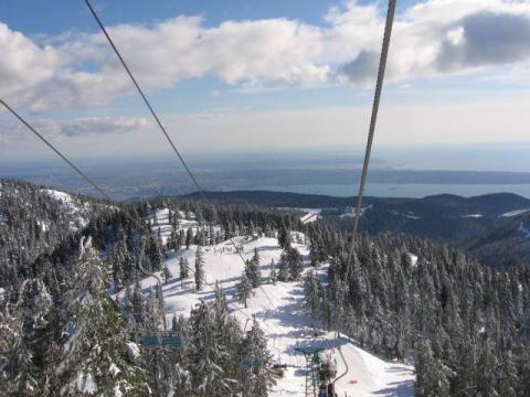 Cypress_079.jpg