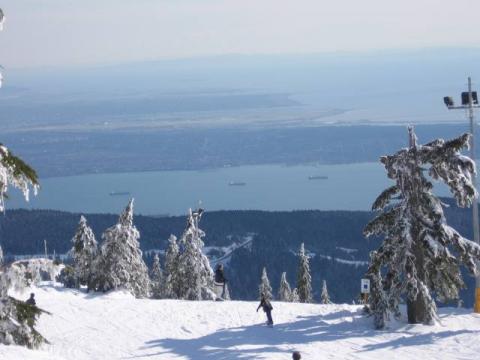 Cypress_083.jpg