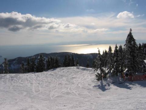 Cypress_084.jpg