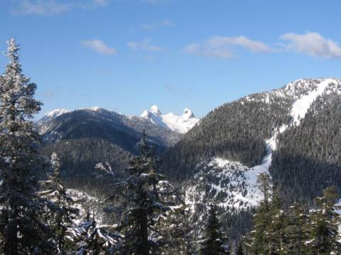 Cypress_099.jpg