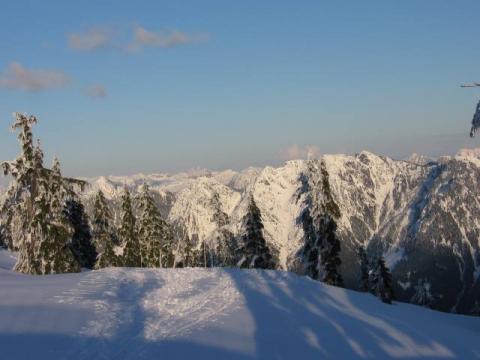 Cypress_104.jpg