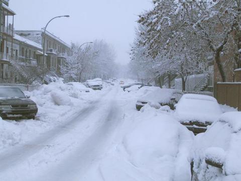 Montreal___Plateau__day_of_snow.jpg