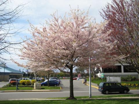 IMG_0007.jpg