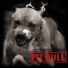 PiTT BuLL